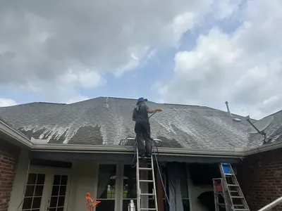 ProWash360 tech soft washing algae off a shingle roof