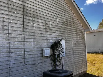 Vinyl siding streaked with mildew before soft washing